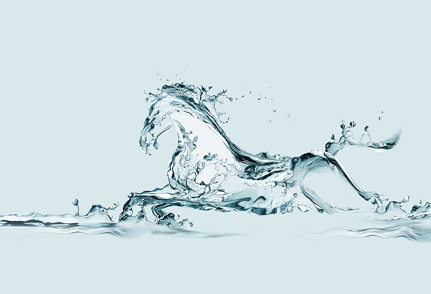 MD Water